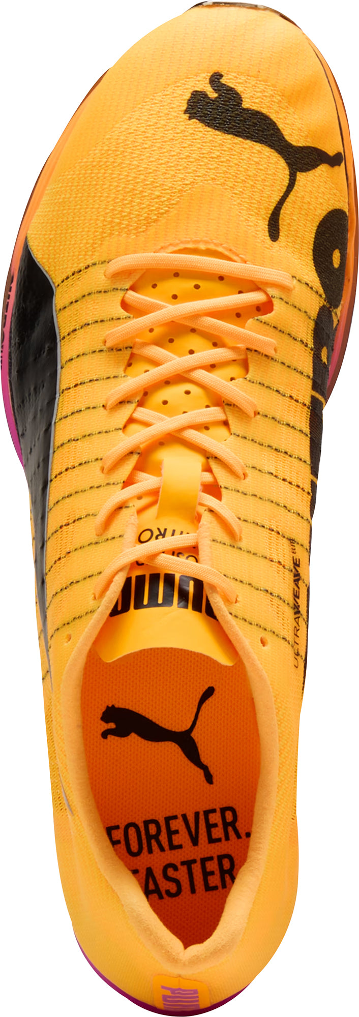 Puma evoSpeed Forte Nitro Elite Running Spikes - Orange